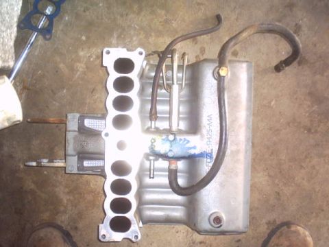 1991 Ford Crown Victoria - An intake manifold with attached hoses is shown, visible part numbers.