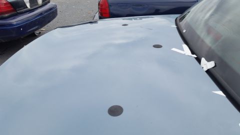 1991 Ford LTD Crown Victoria - Hood of a car with masking tape applied near the windshield, parked next to other vehicles.