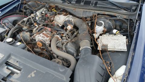 1991 Ford LTD Crown Victoria - The engine bay of a blue vehicle shows signs of neglect and rust, with debris scattered throughout.
