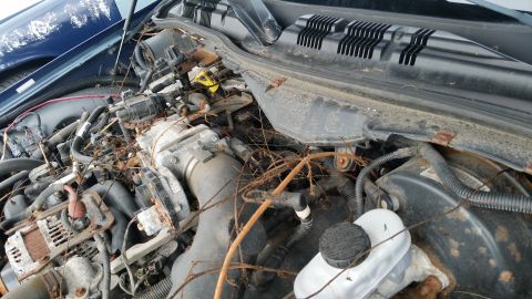1991 Ford LTD Crown Victoria - The engine bay is filled with debris, obscuring many of the components.