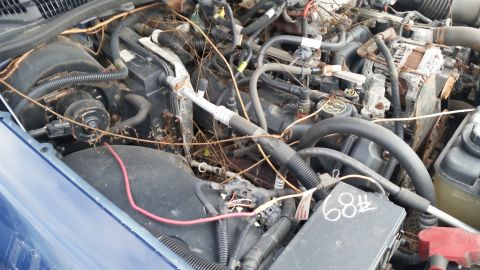 1991 Ford LTD Crown Victoria - Engine bay of a vehicle, cluttered with vegetation and dirt, obscuring most details.