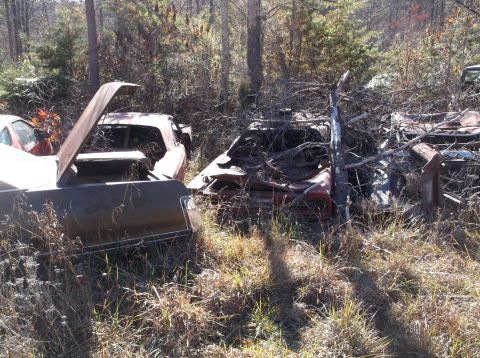 1974 Dodge Challenger - Multiple wrecked vehicles sit abandoned in a wooded junkyard, overgrown with weeds and brush.