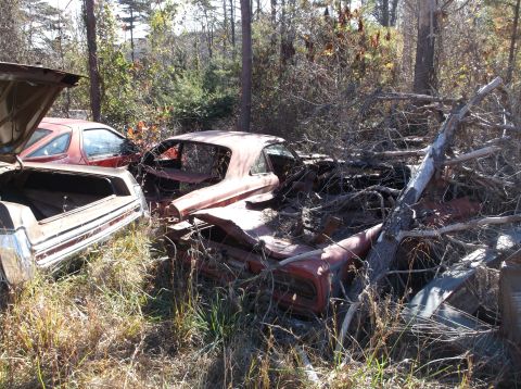 1974 Dodge Challenger - Multiple wrecked vehicles are piled up in a wooded junkyard, with one red coupe in the foreground.