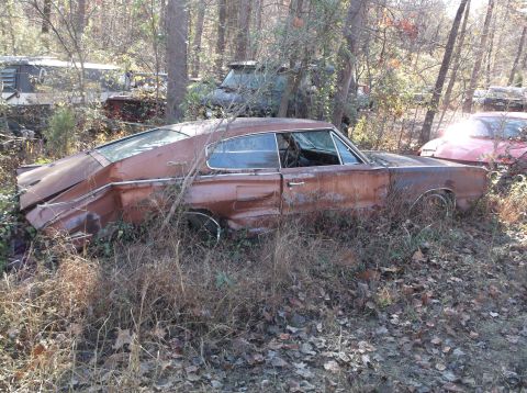 1974 Dodge Challenger - A derelict 1966 Dodge Charger is overgrown with weeds in a junkyard setting.