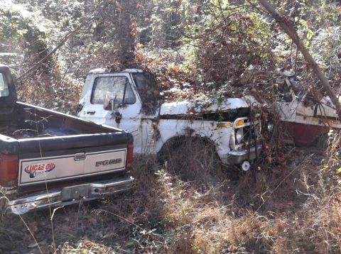 1974 Dodge Challenger - Two Ford pickup trucks are overgrown with vegetation in a wooded area.