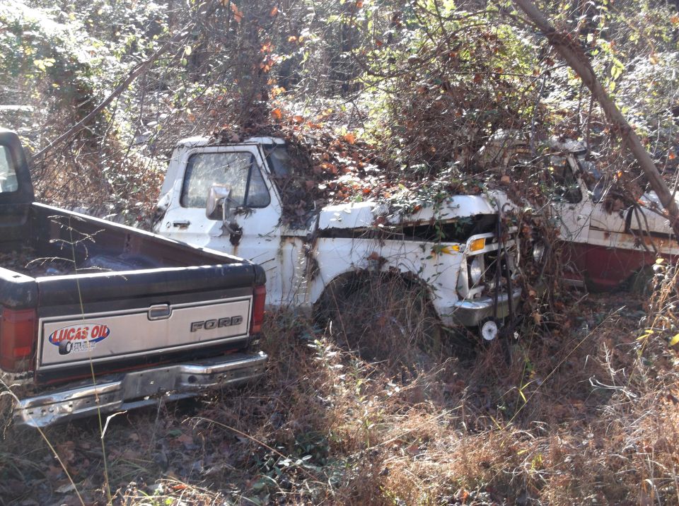 White Ford pickup truck, partially obscured by trees and leaves, with a dark Ford pickup in the foreground