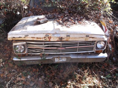 1974 Dodge Challenger - This abandoned 1973 Ford F-Series pickup truck is partially covered in leaves and branches, showing significant rust.