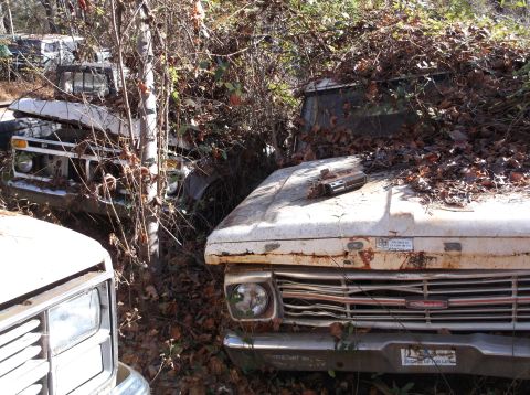 1974 Dodge Challenger - Multiple old trucks sit abandoned and overgrown in a junkyard, with one showing its front grille and headlight.