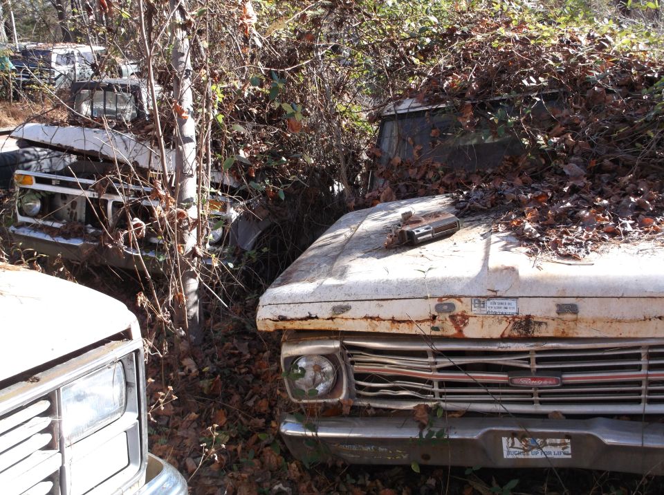 Several old trucks overgrown with weeds and leaves in a junkyard. One truck's front grille and headlight are visible
