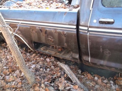 1974 Dodge Challenger - A heavily rusted brown pickup truck sits abandoned amongst fallen leaves and debris.