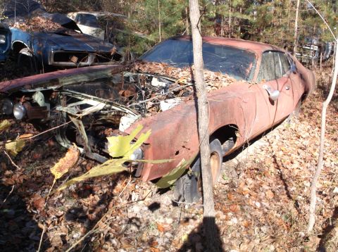 1974 Dodge Challenger - A rusty orange car sits in a junkyard, partially covered in leaves and debris.