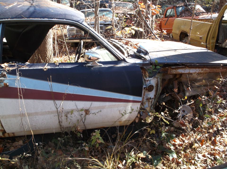 1974 Dodge Challenger side view, showing door and fender in junkyard