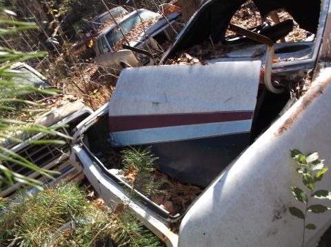 1974 Dodge Challenger - Interior view of a derelict vehicle in a junkyard, showing a two-tone door panel and a watermark for SUPERMOTORS.