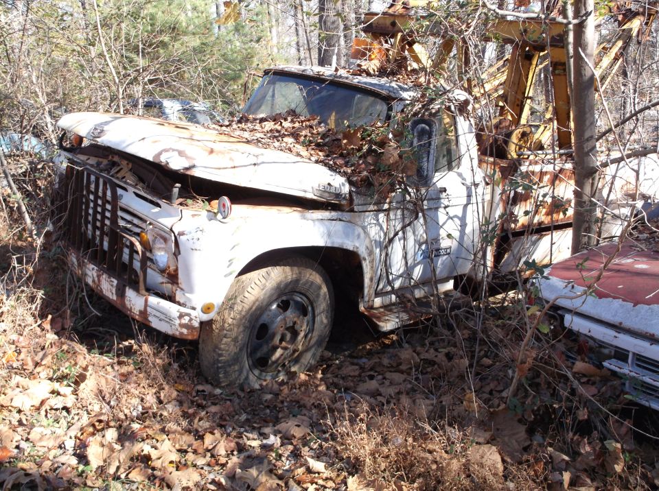 Abandoned white tow truck covered in leaves and branches, parked in woods next to another vehicle