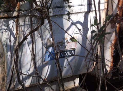 1974 Dodge Challenger - A weathered Lincoln emblem is visible on the side of a white vehicle, partially obscured by overgrown vines.