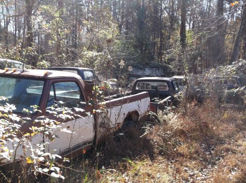 1974 Dodge Challenger - Multiple abandoned pickup trucks sit in a wooded area, partially covered by plants.