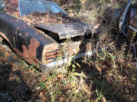 1974 Dodge Challenger - This abandoned 1974 Dodge Challenger sits in a field of weeds, showing significant rust and decay.