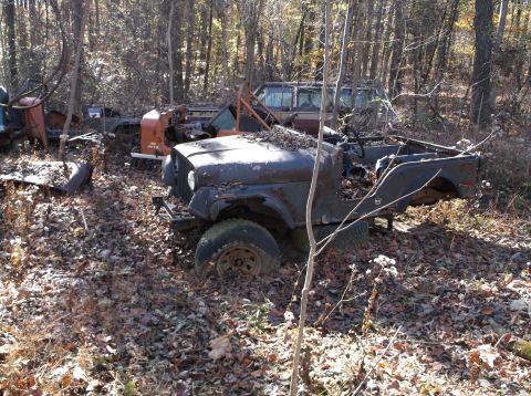 1974 Dodge Challenger - Several old vehicles sit abandoned in a wooded area, covered in leaves and debris.