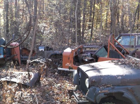 1974 Dodge Challenger - Multiple abandoned Jeeps sit in a wooded junkyard, covered in leaves and rust.
