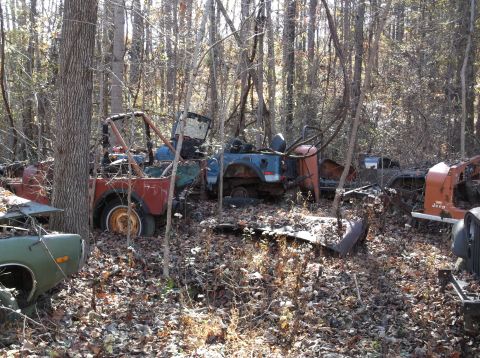 1974 Dodge Challenger - A collection of old Jeeps sits abandoned and overgrown in a forest, showing signs of decay and neglect.