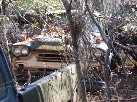 1974 Dodge Challenger - A weathered 1957 Ford truck sits abandoned, overgrown with foliage and branches.