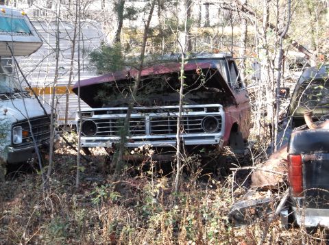 1974 Dodge Challenger - A red 1973 Ford F-Series pickup truck sits in a wooded junkyard with its hood open.