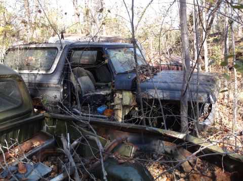1974 Dodge Challenger - This weathered pickup truck sits abandoned in a wooded area, its interior exposed and reclaimed by nature.