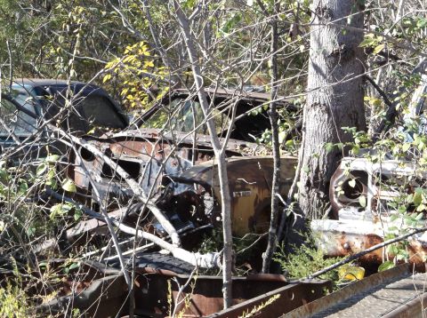 1974 Dodge Challenger - An old car sits abandoned and decaying amidst overgrown vegetation.