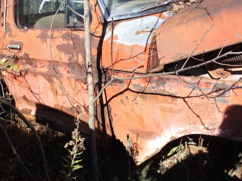 1974 Dodge Challenger - An old, heavily rusted orange truck cab sits abandoned outdoors, partially covered by tree branches.