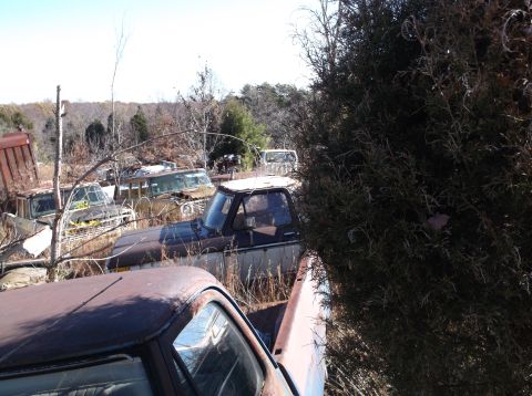 1974 Dodge Challenger - A collection of old trucks and SUVs sits in a junkyard under a clear sky.