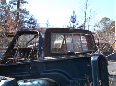 1974 Dodge Challenger - Overgrown branches cover the cab of an old pickup truck.