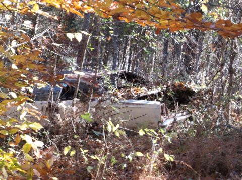 1974 Dodge Challenger - An old car sits abandoned and overgrown in a wooded area during autumn.
