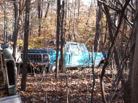 1974 Dodge Challenger - A weathered blue pickup truck sits abandoned amongst trees and fallen leaves.
