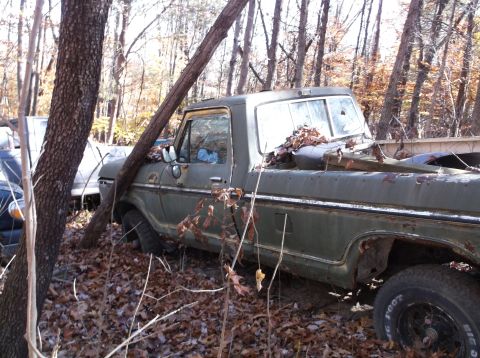 1974 Dodge Challenger - A weathered 1974 Ford F-Series pickup truck sits abandoned amongst trees and fallen leaves.