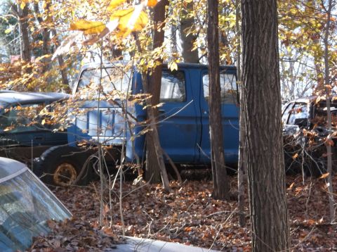 1974 Dodge Challenger - A blue pickup truck sits among trees and fallen leaves in a junkyard.