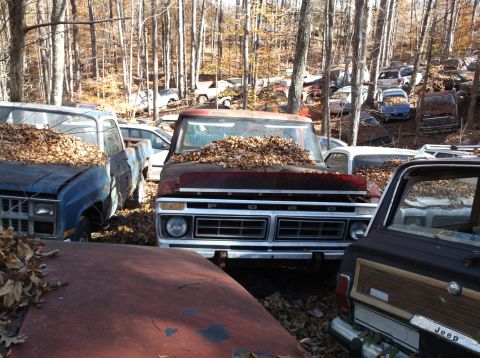 1974 Dodge Challenger - A collection of vehicles sits in a wooded junkyard, covered in fallen leaves.