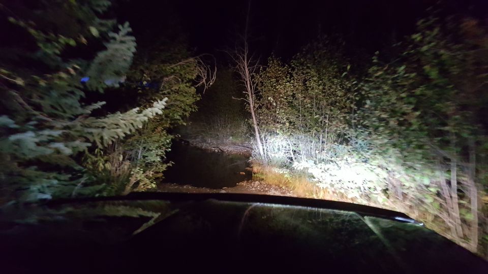 Driving on a dirt road at night with headlights illuminating trees and brush