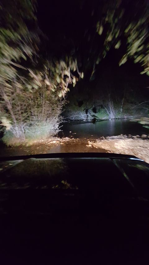 1996 Ford Bronco - Driving through water at night, illuminated by headlights, with trees lining the path.