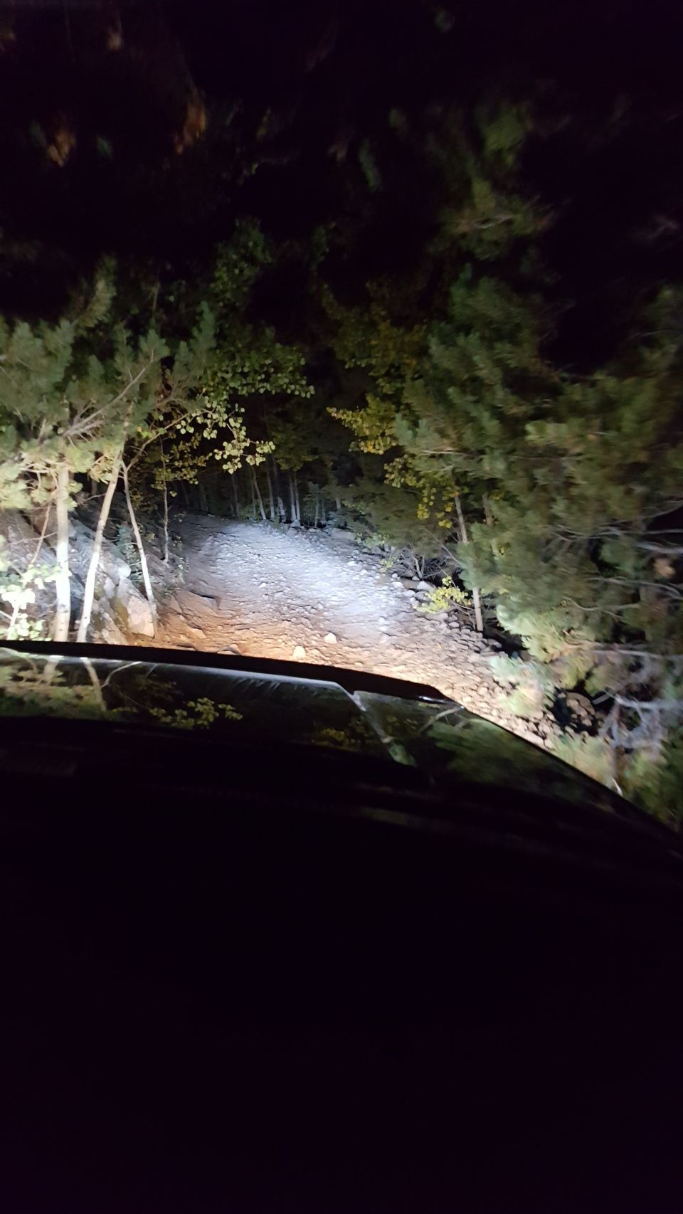 View from inside a vehicle driving on a rocky dirt road at night, with headlights illuminating the path and trees on either side