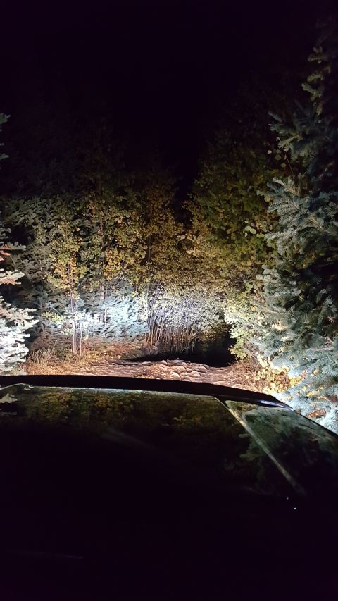 1996 Ford Bronco - Headlights cut through the darkness, illuminating a forest road ahead.