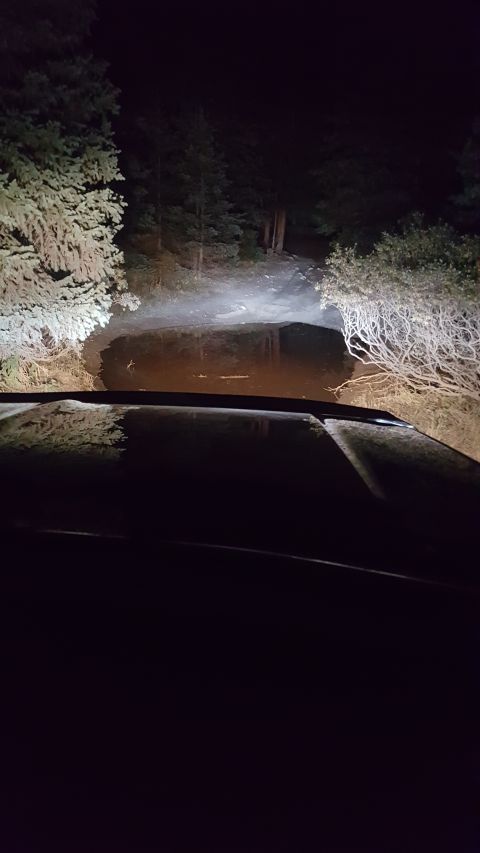 1996 Ford Bronco - Driving through a wooded area at night, headlights illuminating the path ahead.