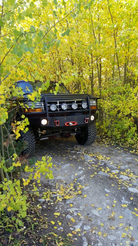 1996 Ford Bronco - This SUV, likely a 1992 model, is parked on a dirt road amidst fall foliage.