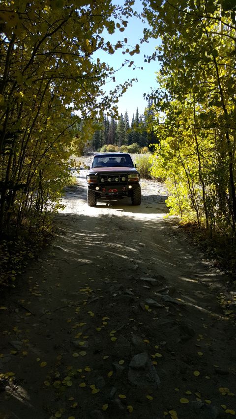 Fall Colors - 1996 Ford Bronco