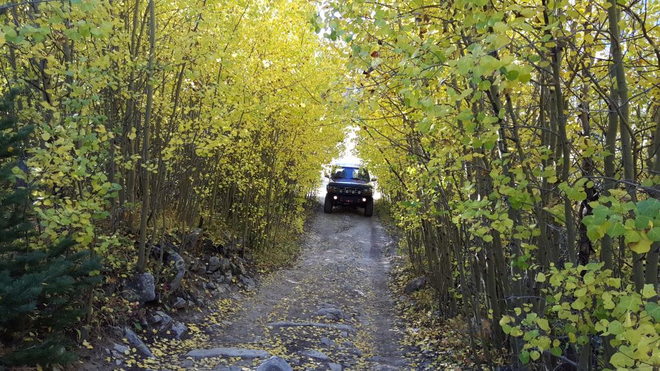 SUV driving down a dirt road lined with trees showing fall colors