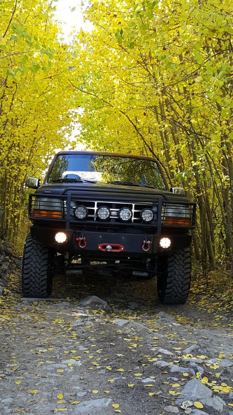 1996 Ford Bronco - A black 1996 Ford Bronco drives down a dirt road, framed by the vibrant yellow foliage of autumn trees.