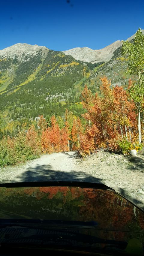 1996 Ford Bronco - View out the windshield over a dark hood on a rocky mountain shelf road, with orange and yellow fall aspens lining the trail and bare rock…