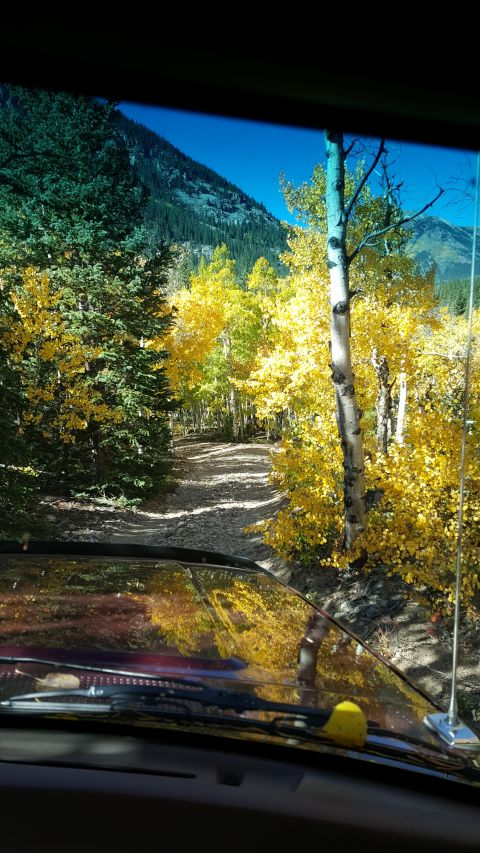 1996 Ford Bronco - Driving through a scenic mountain road surrounded by vibrant fall colors.