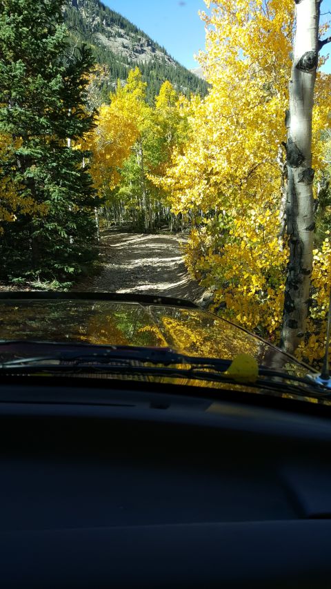 1996 Ford Bronco - Driving through autumn scenery on a mountain road, with colorful foliage all around.