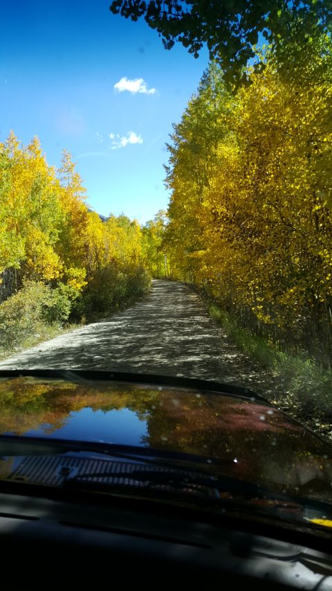 1996 Ford Bronco - Driving down a scenic dirt road surrounded by vibrant yellow and green fall foliage.