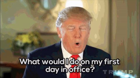 1995 Mercury Grand Marquis - Donald Trump speaks with subtitles visible on screen.